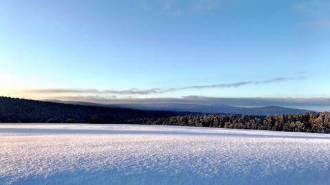 Der Böhmerwald – eine Wildnis mitten in Europa, Bild 22